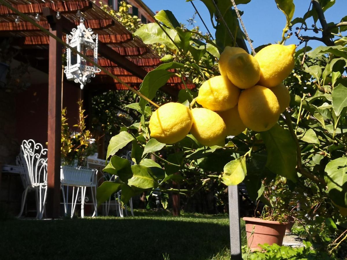 Florinda Lemon'S Suite Cervo Eksteriør bilde